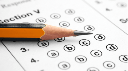 Why Do We&nbsp;Cheat?