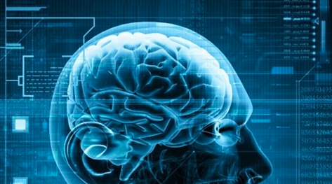 What Neuroscience Has to Say about Decision-Making
