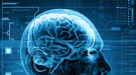 What Neuroscience Has to Say about&nbsp;Decision-Making