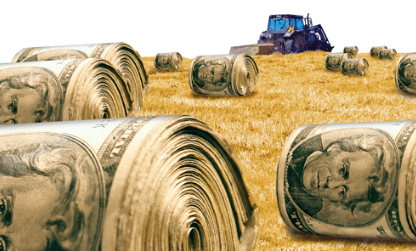 New Zealand: The Model for Farms of the&nbsp;Future