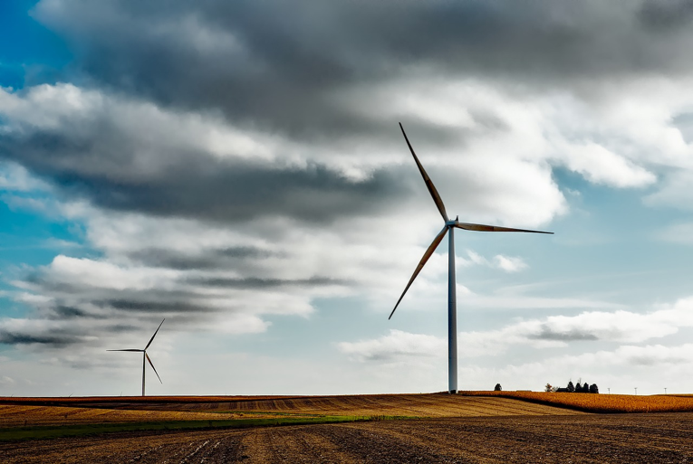 Greenlight the Green Energy Movement… Or Don’t?