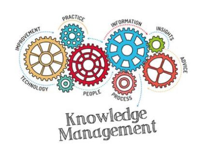 Knowledge Management: A Driver of Efficiency and Innovation