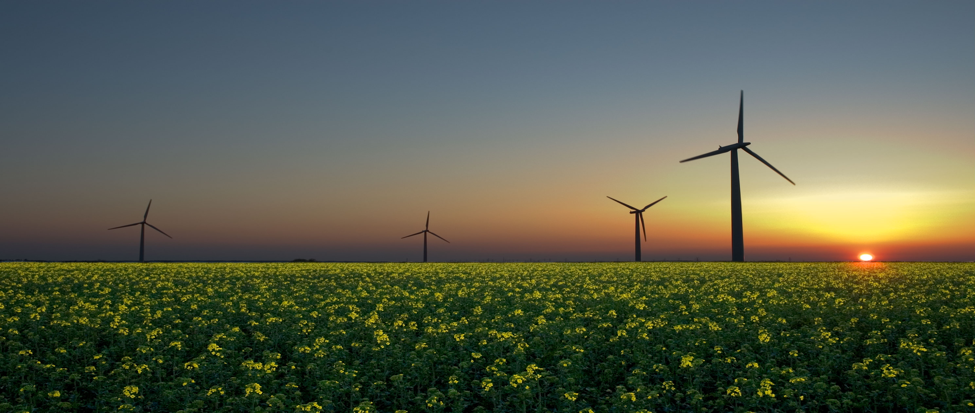 How the Near Horizon Might Affect Long Run Growth in the Renewable Energy