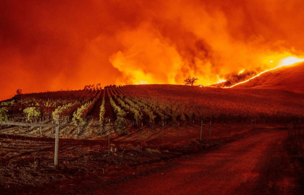 The Economic Cost of Northern California&nbsp;Wildfires
